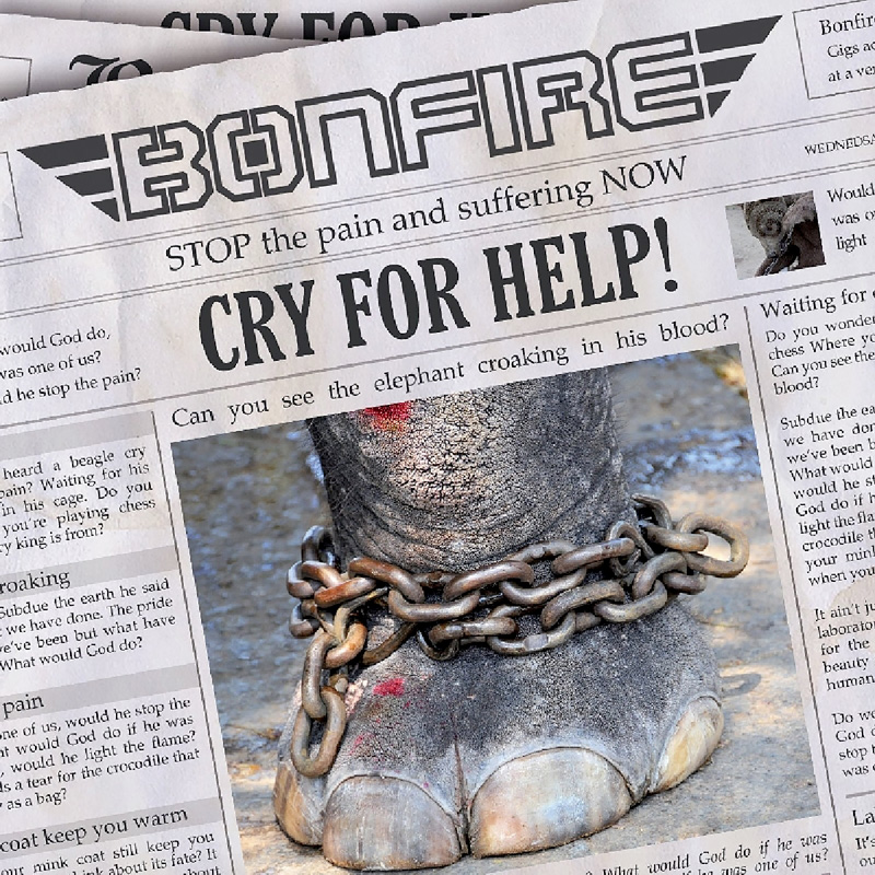CD "Cry For Help" - Digipack